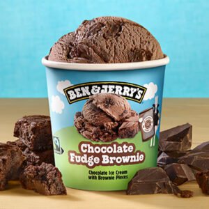❄️ Ben & Jerry's Chocolate Fudge Brownie Pint 465 ml